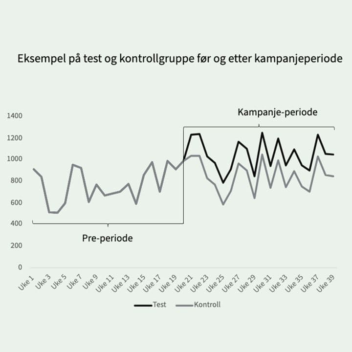 eksempel