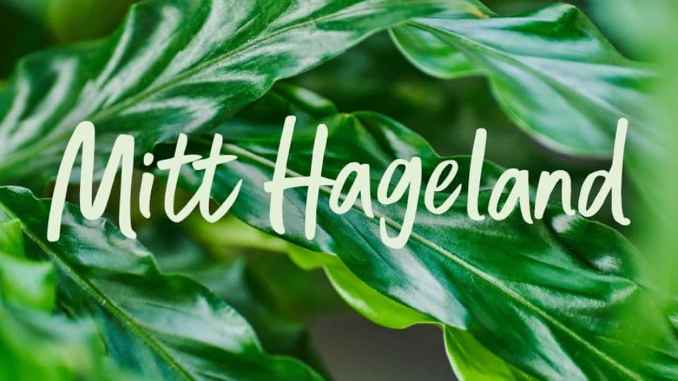 Hageland
